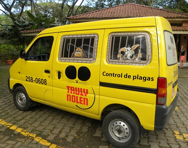 pest control