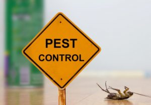 pest control